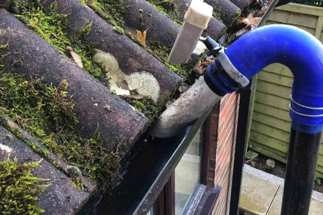 Moss and organic debris being extracted from a gutter in Holmes Chapel