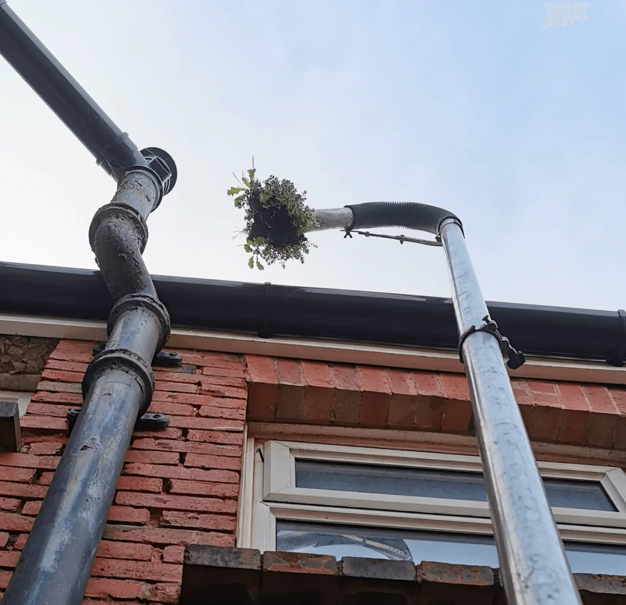 Compacted gutter debris being lifted from ground level in Holmes Chapel