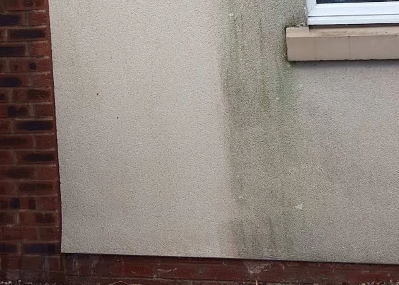Real Proline Exterior Cleaning render cleaning result