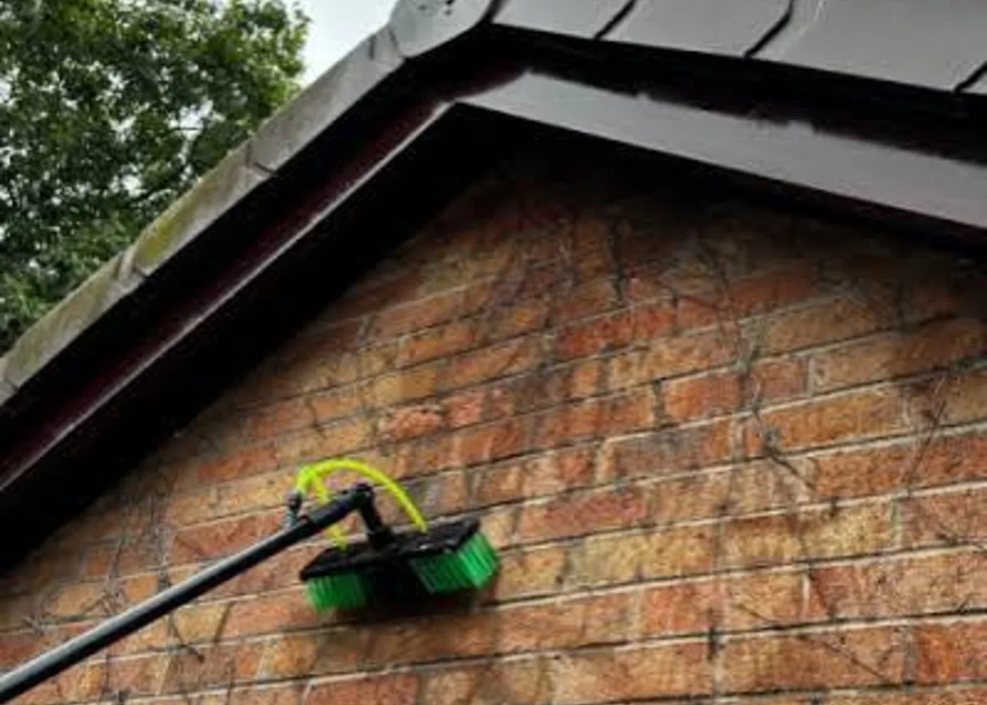 Real Proline Exterior Cleaning fascia and soffit cleaning result