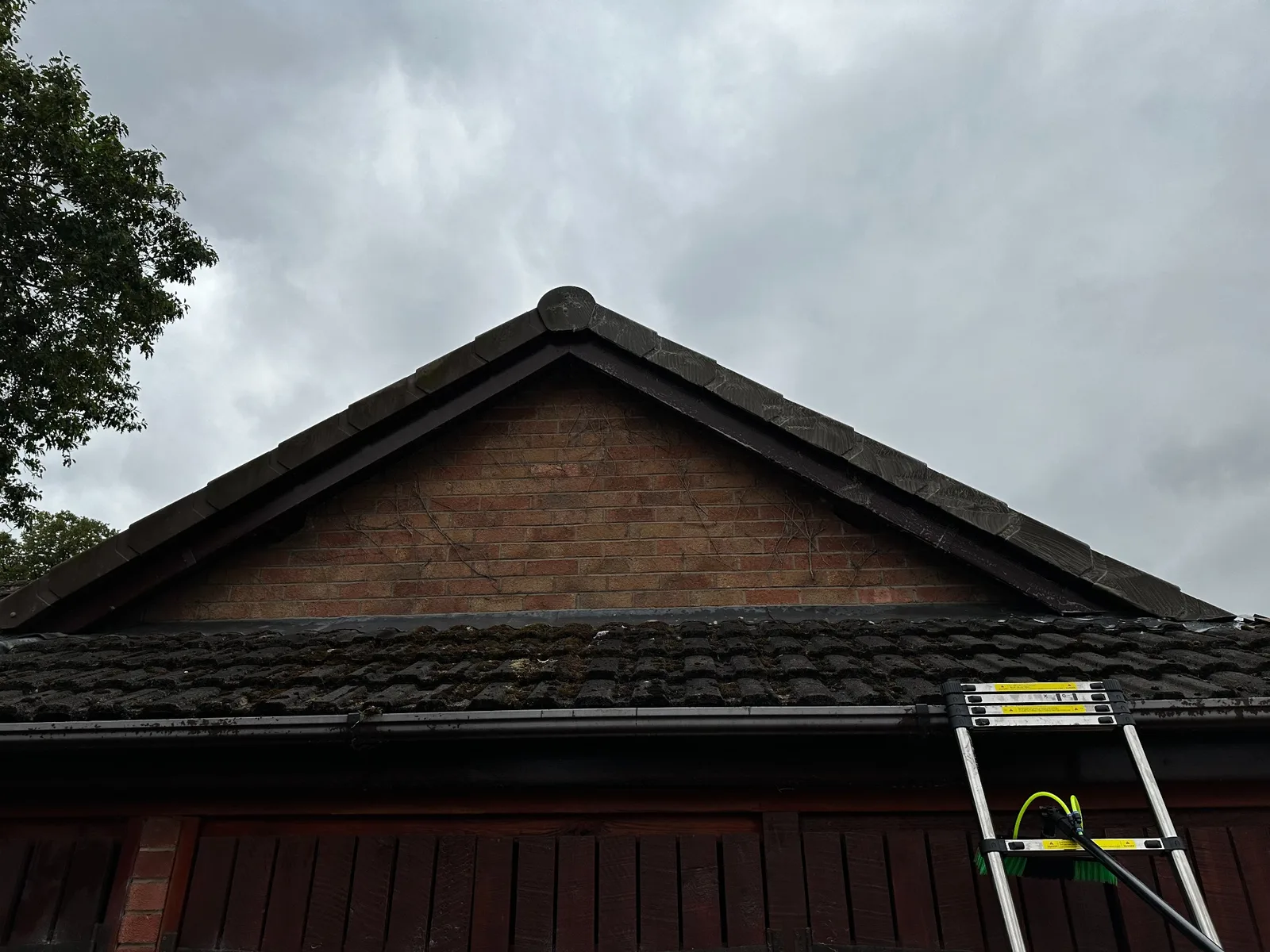 Weathered soffits, fascias and guttering before cleaning