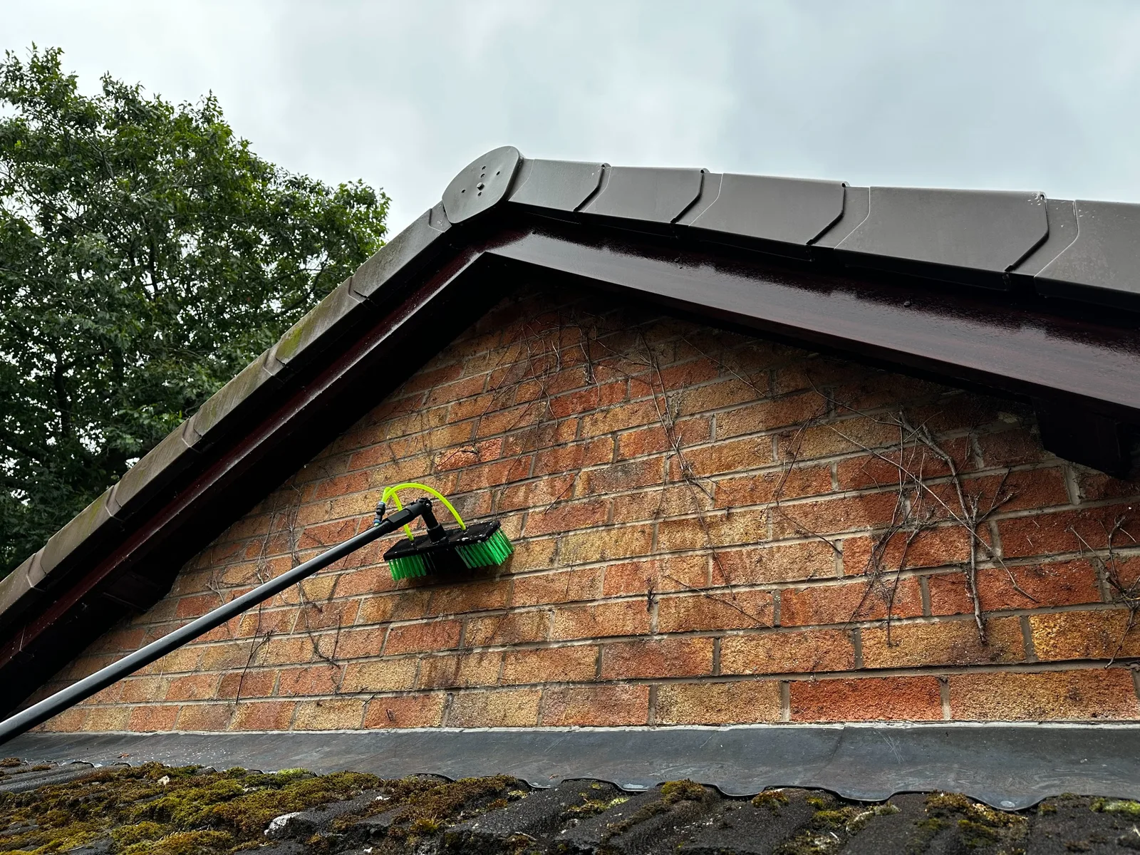 Professional brush cleaning soffits and fascias